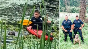 Police officer uses kayak to rescue struggling dog trapped in muddy NJ pond