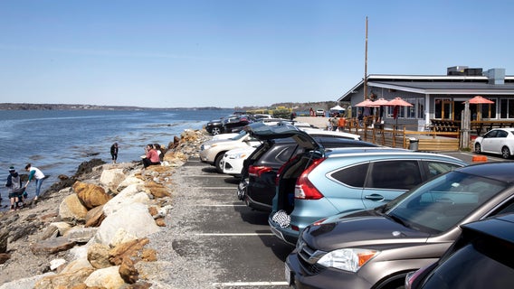 Swimmer killed in apparent shark attack off coast of Maine