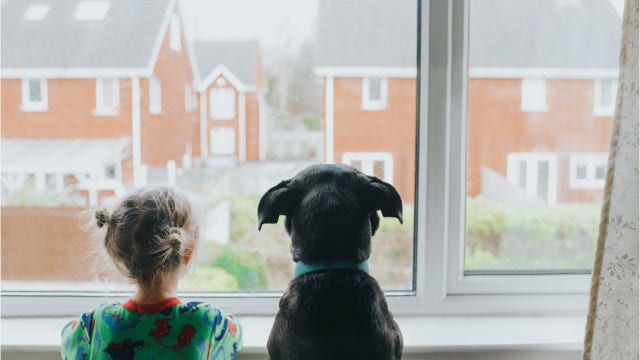 ‘Dog years’ is just a myth: New research shows non-linear relationship between dog and human years