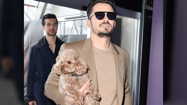 Orlando Bloom asks fans for help finding missing dog: 'My heart is already broken'