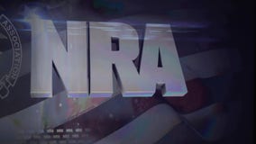 NY sues the NRA to put it out of business