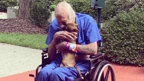 Navy veteran saved by Chihuahua after having a stroke
