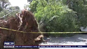 National Weather Service confirms EF1 tornado in New Castle County, Del.