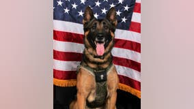 Gwinnett K-9 officer killed in the line of duty to be laid to rest