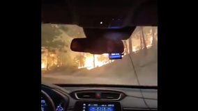 Harrowing video shows woman escaping California wildfire in Sierra National Forest