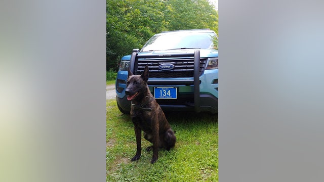 Police K9 tracks down missing Kindergartner lost in Maine woods