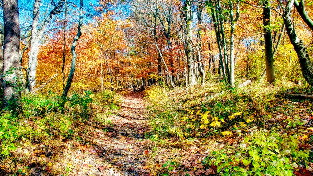 Sunny, nice weather expected into next week as first fall cold front exits Delaware Valley