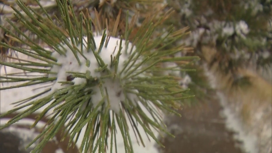 MORE__COLORADO_SNOWFALL_TUESDAY__VO___KCNCSNOW.mp4_.00_01_18_17.Still002.jpg