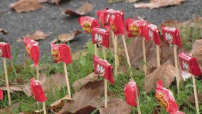 Bucks County neighborhood gets creative for trick-or-treaters amid COVID-19 pandemic