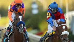 Swiss Skydiver beats Authentic to win Preakness