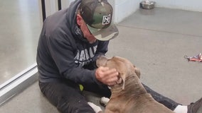 'That's my boy!' Man reunited with missing dog after 200 days apart