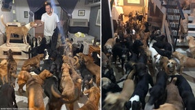 Man protects 300 dogs from Hurricane Delta by bringing them inside his home to keep them safe