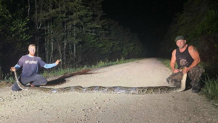 fwc record breaking python hunt