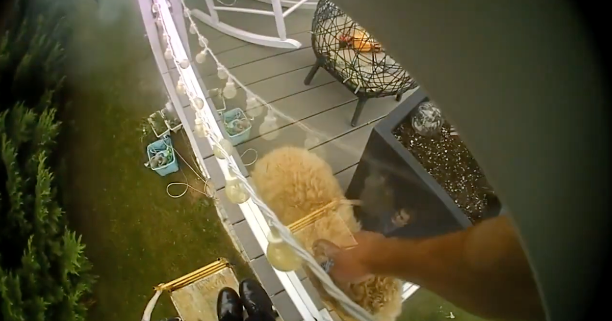 NJ police officer's quick thinking helps rescue dog from second-floor ...