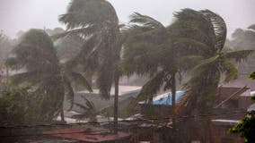 Hurricane Eta makes landfall in Nicaragua as violent Category 4 storm