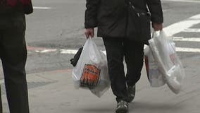 New Jersey bans single-use bags, foam containers