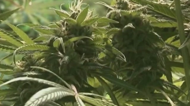 Marijuana legalization bill clears Delaware House