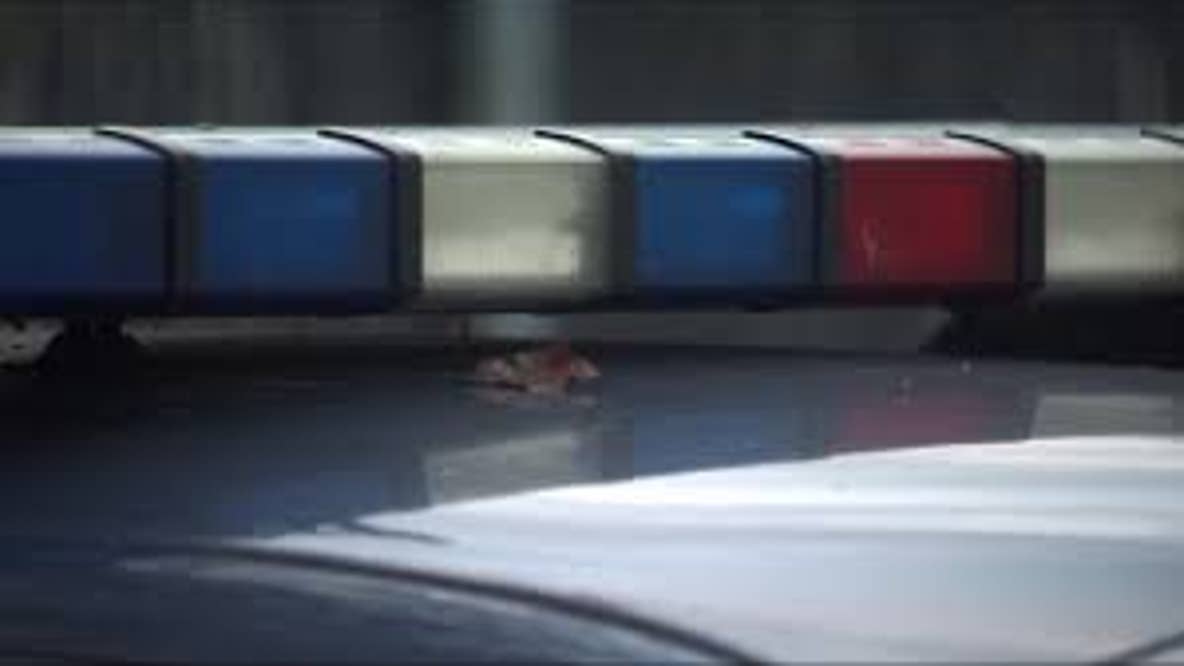 2 cats receive emergency treatment after suffering suspected gunshot wounds in West Deptford