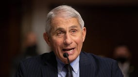 Dr. Fauci says he 'absolutely' accepted offer to be Biden's chief medical adviser