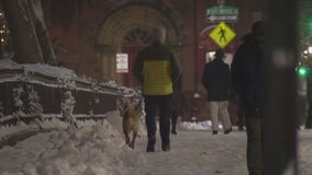 Philadelphia takes nor'easter in stride, carrying on normal life despite snow, sleet