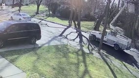 Caught on camera, truck hits power lines leaving Gloucester County family in the dark for days