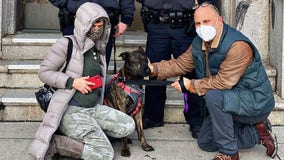 NYPD rescues dog 'Tinkerbell' from frigid Jamaica Bay