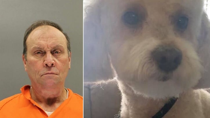 New Jersey man gets prison for shooting neighbor's dog - Vimarsana News