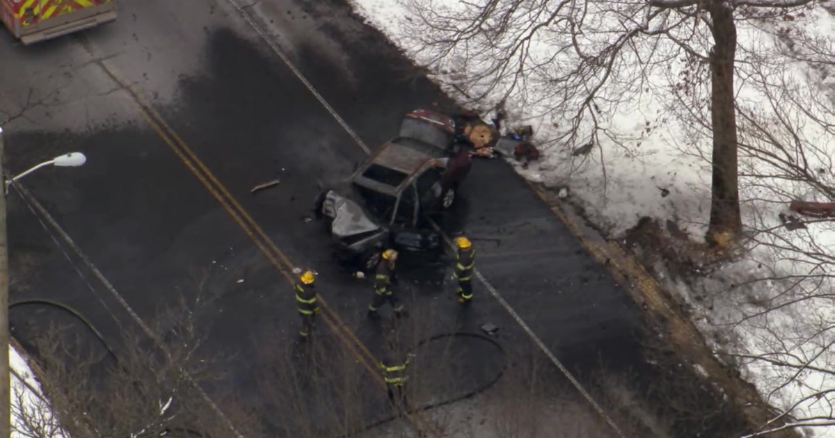 Man dies after car slams into tree, busts into flames in West ...