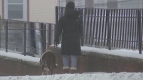 Blanketed by sleet and snow, normally busy West Chester is quieted by winter weather