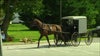 Amish community in Lancaster County reaches herd immunity from COVID-19, medical center says