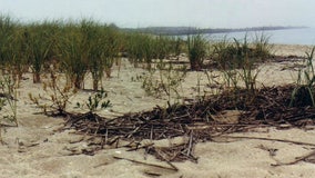 NJ will fix steep beach entrance drop-offs by summer