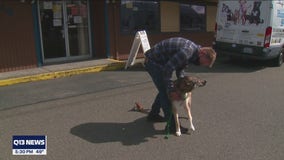 Portland man reunited with dog that was adopted out while he was in Auburn hospital