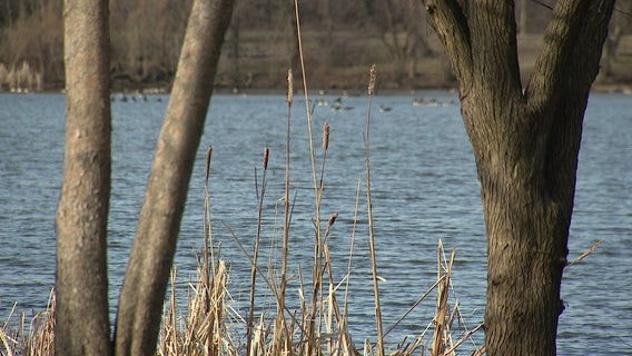 FDR Park receives new funding, pushing forward Philly's plan to transform the popular park