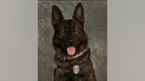 Mesquite K9 officer killed while chasing armed robbery suspects