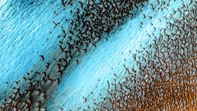 NASA shares stunning image of blue dunes on Mars