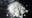 Man arrested after calling medical center to report lost cocaine: Cops