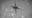 NASA makes history with 1st flight of Ingenuity helicopter on Mars