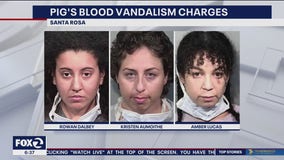 3 women arrested after pig's blood strewn on Chauvin defense witness old home