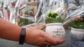 Mother's Day 2021: Ideas for a memorable celebration with mom