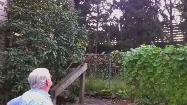 Battle over Delaware County athletic stadium ends up in court