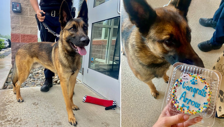 Arrow is undergoing intense training at the Philadelphia Police K-9 Training Academy with his owner Officer Kyle Heasley.