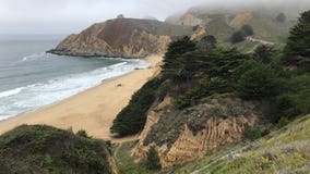 Great white shark bites man swimming off Half Moon Bay coast