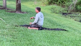 Woman attacked by 7-foot alligator while walking dog near lake in Palm Harbor