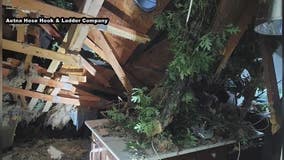 Woman rescued after tree crashes into home in Newark, Delaware during storms