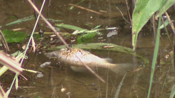 Officials contend with potential environmental impacts of Brookhaven fuel leak