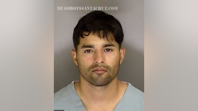 Air Force sergeant accused of killing law enforcement officers not a lone actor; part of 'Grizzly Scouts'