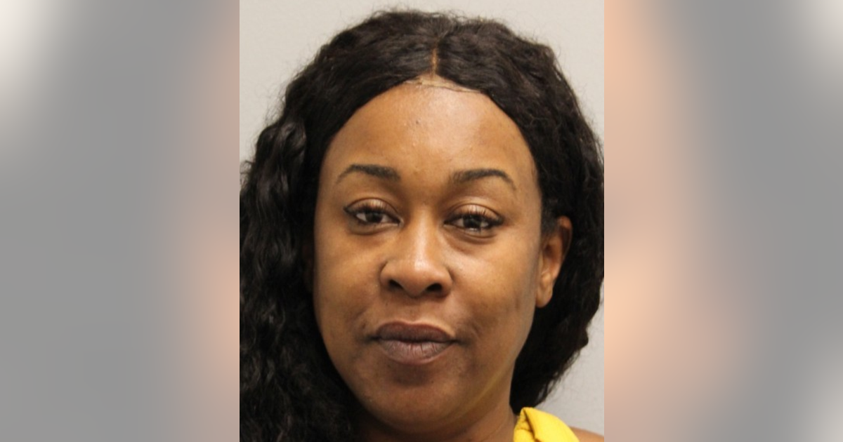 Woman charged with DUI after rear-ending Delaware State Police vehicle ...