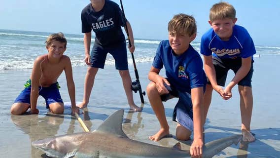 12-year-old reels in shark on NJ beach as crowd watches in awe