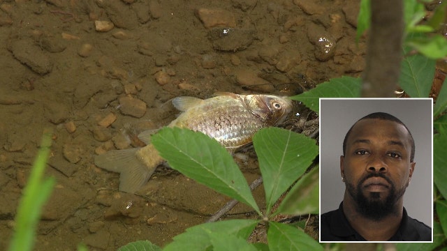 Officials announce criminal charges in 'catastrophic' Brookhaven fuel spill