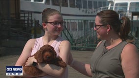 Seattle teen with Type 1 diabetes surprised with diabetic alert service dog